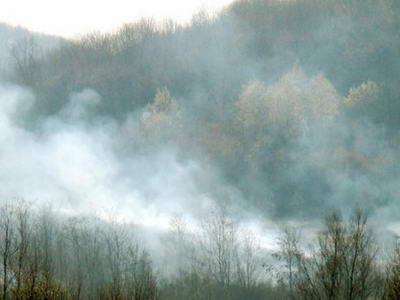 SIKIREVCI: Po�ar otvorenog prostora